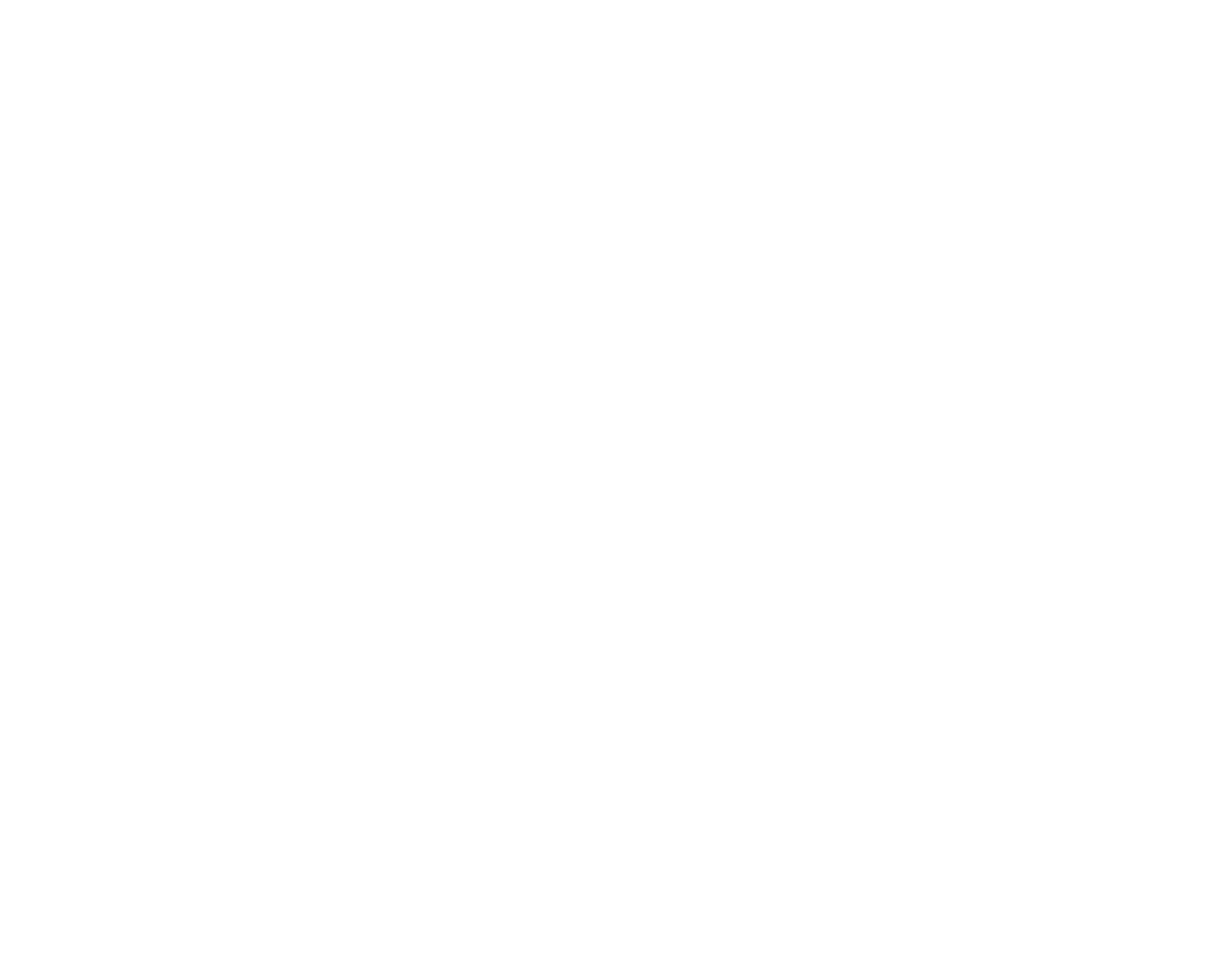 SanMarcSoft LLC